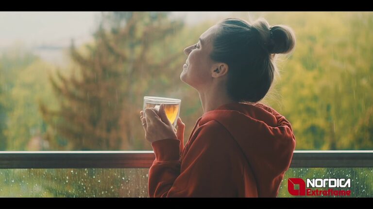 N&oacute;rdica Extraflame: El Teorema del Calor Eficiente