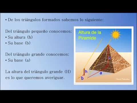 Descubre el fascinante origen del Teorema de Tales: una prueba milenaria